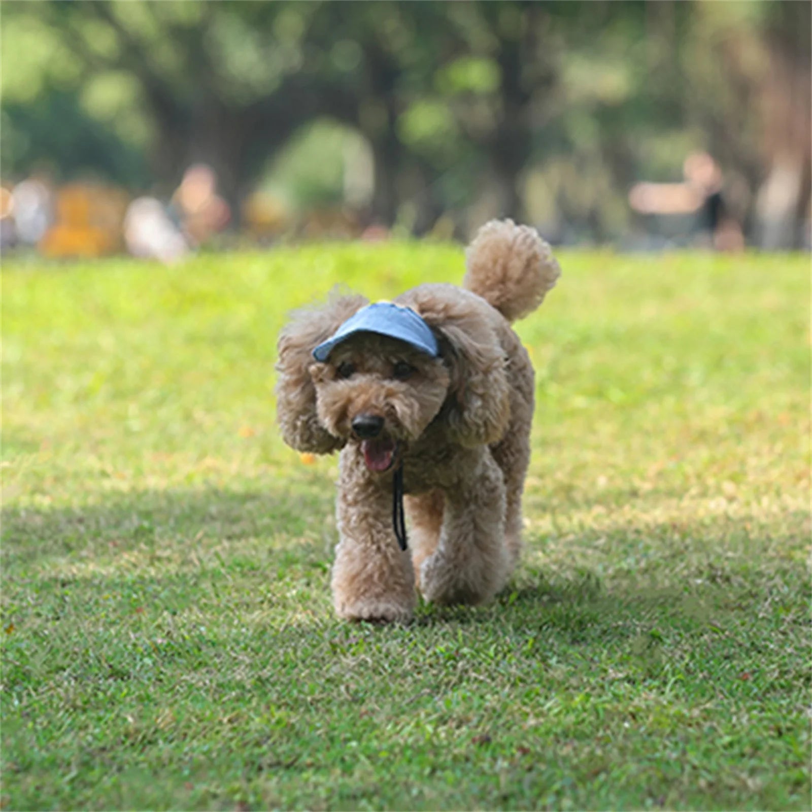 Adjustable Pet Dog Travel Cute Baseball Hat Sun Cap Visor Hat with Ear Holes Outdoor Sport Pet Supplies