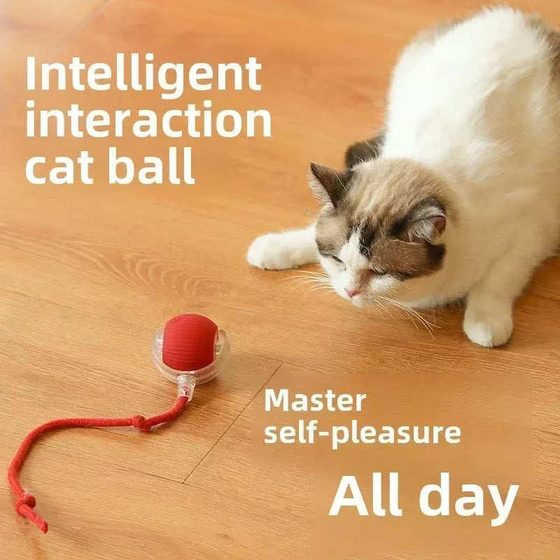 Interactive Dog Toys Rechargeable Pet Interactive Toys Electric Cats Ball Automatic Rolling Fake Tail Ball Dog Cats Toy